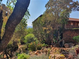2 Bed Simplex in La Montagne