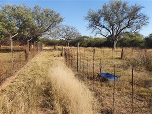 21 ha Farm in Mookgophong (Naboomspruit)