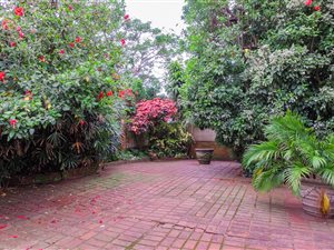 4 Bed House in Glenwood