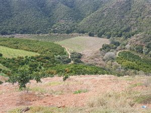 113 ha Farm in Hankey