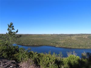 15 ha Land available in Plettenberg Bay