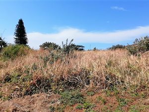 1493 m² Land available in Ifafa Beach