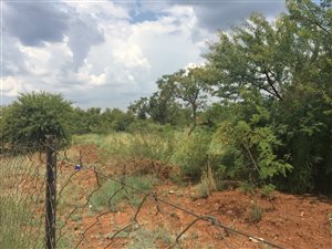 1.1 ha Land available in Montana Gardens