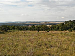 4.3 ha Land available in Tiegerpoort