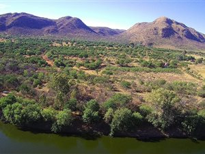 10 ha Farm in Parys