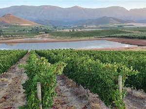 42.8 ha Farm in Robertson