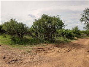 3.3 ha Land available in Buffelsdrift AH