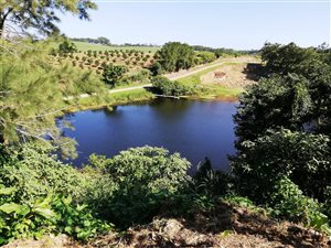 2 ha Farm in Izotsha