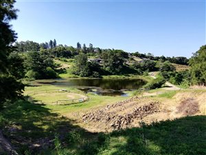 2 ha Farm in Izotsha