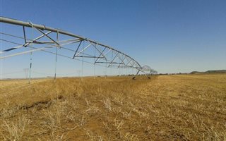 935.7 ha in Petrusburg