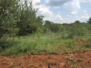 9003 m² Land available in Montana Gardens