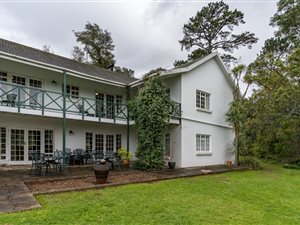 9 Bed House in Golden Hill