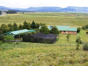 21 ha Farm in Mooi River