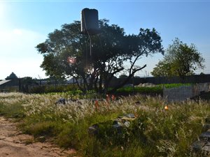 5.6 ha Farm in Knopjeslaagte