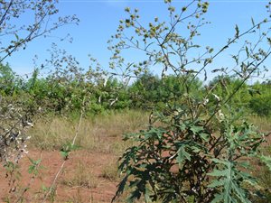 2360 m² Land available in Waterfall