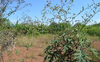 2360 m² Land available in Waterfall