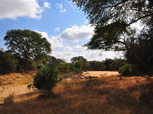 9808 m² Land available in Moditlo Nature Reserve