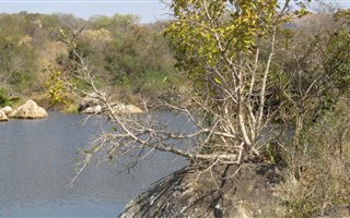 800 ha Farmland in Nelspruit