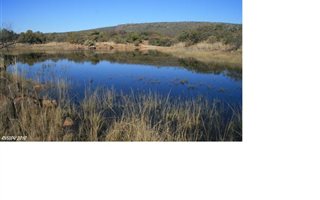 1 ha Land available in Zwartkloof Private Game Reserve
