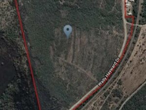 27 ha Farm in Ashburton