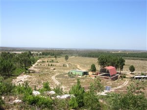 34 ha Farm in Albertinia