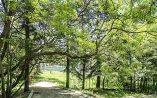 2216 m² Land available in Bryanston