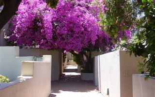 3 Bedroom Townhouse in Eastleigh