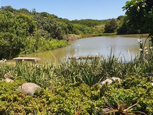 1316 m² Land available in Shelly Beach