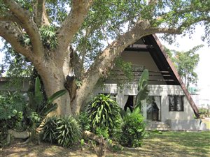 Farm in Nelspruit