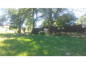 8386 m² Land available in Drummond