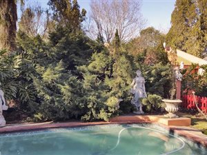 7 Bedroom House in Linden
