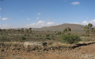 1285 m² Land available in Willowmore