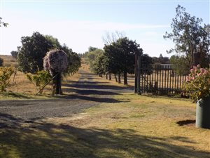 438.1 ha Farm in Koster