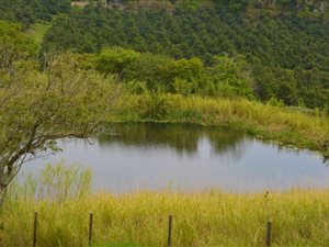 10.6 ha Farm in Izotsha