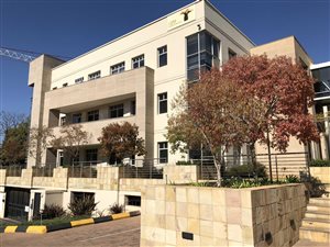 1013 m² Commercial space in Illovo