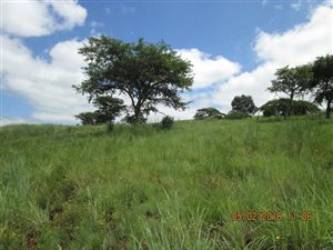 2220 m² Land available in Sunnyridge