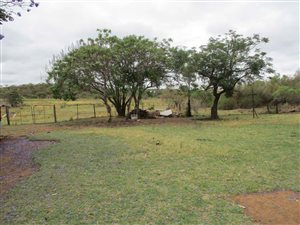 11 m² Farm in Onderstepoort