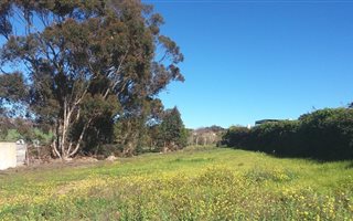 971 m² Land available in Napier