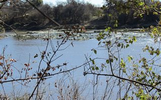 2 ha Land available in Bothaville
