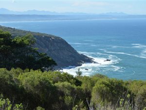 95 ha Farm in George Central