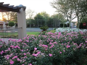 2 Bed Townhouse in Boardwalk Meander