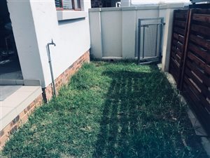 1 Bed Apartment in Ferndale