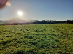 6 ha Farm in Riversdale