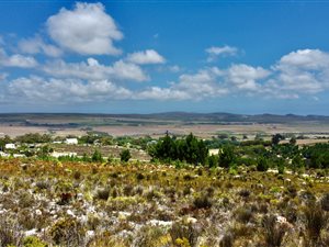 9098 m² Farm in Baardskeerdersbos