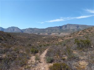 80 ha Farm in Riversdale