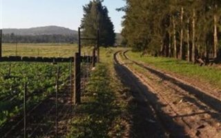 Farm in Cape Farms