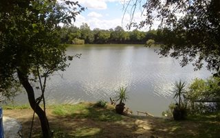 1.3 ha Farm in Vierfontein