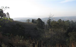 8.1 ha Land available in Bothas Hill