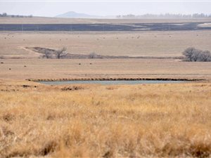 385 ha Farm in Ermelo