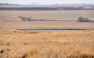 385 ha Farm in Ermelo